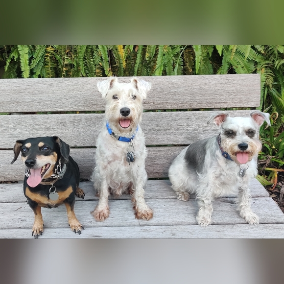 Meet your Posher, Ashley - Picture 1 of 1